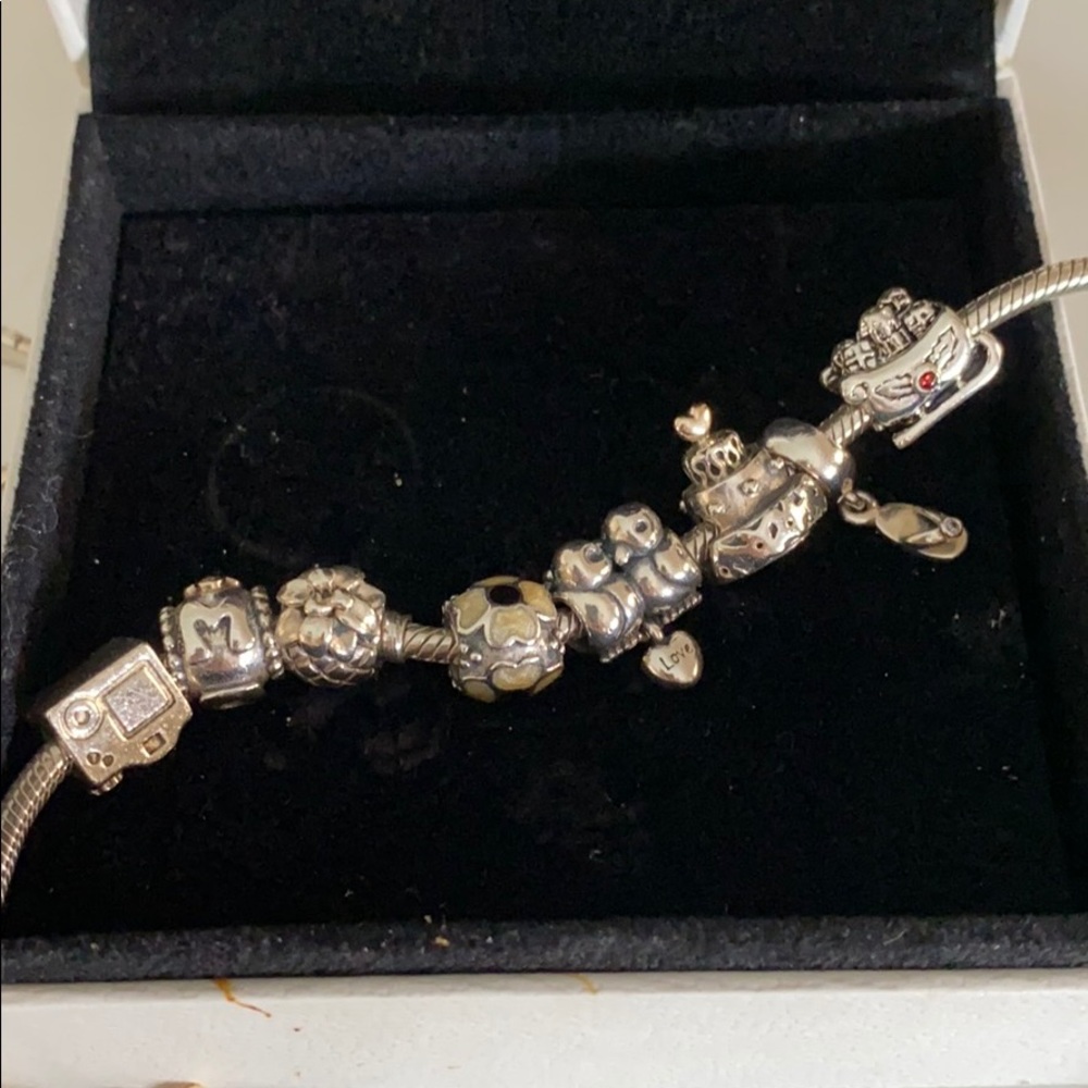 Pandora Authentic charms